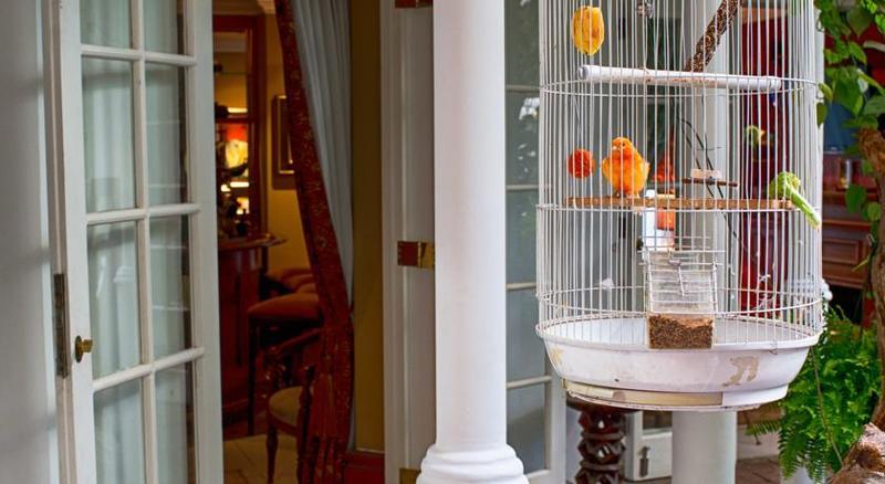 The Munro Boutique Hotel Йоханесбург Екстериор снимка